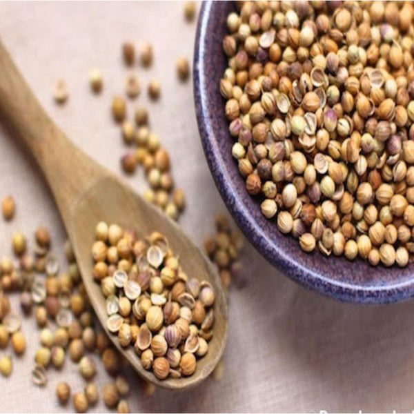 CORIANDER WHOLE (DHANIA SABUT)