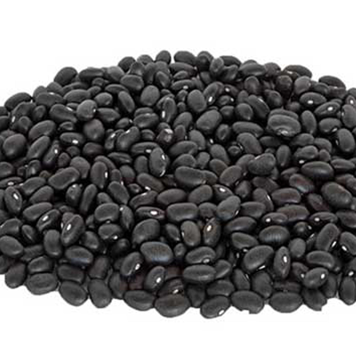 URAD DAL SABUT